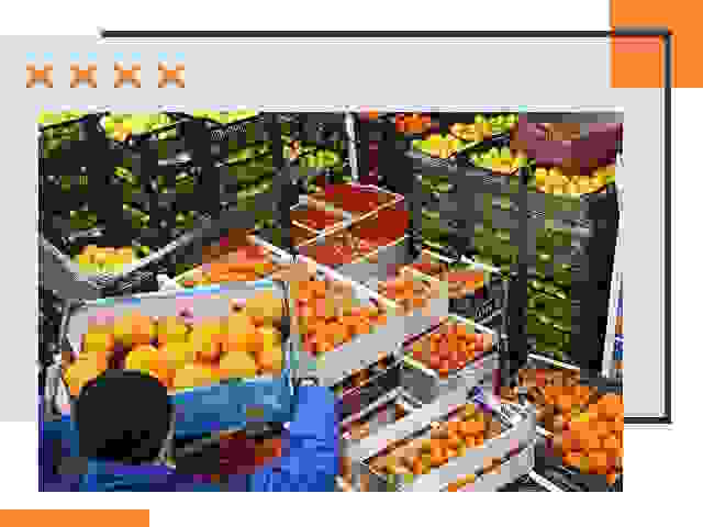 Перевозка скоропортящихся продуктов в Борзе